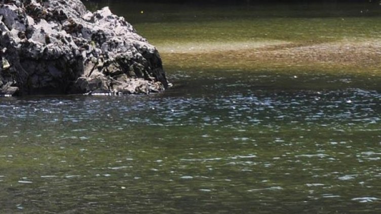 Снимка: Булфото, архив