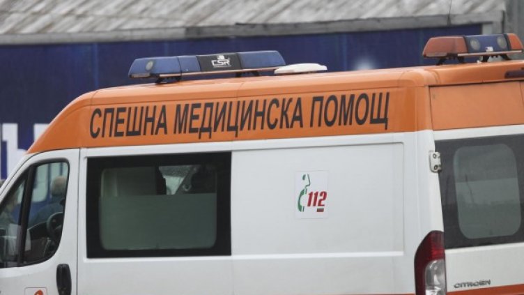 Снимка: Архив Булфото