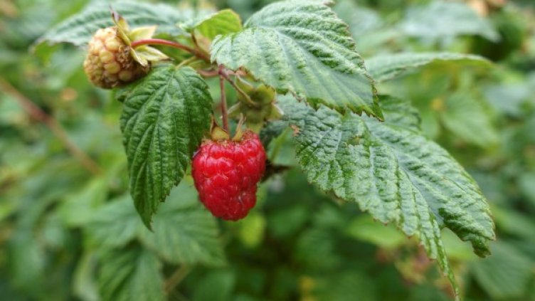 Снимка: Reuters, архив