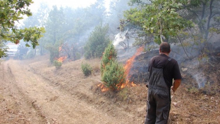Снимка: Булфото, архив