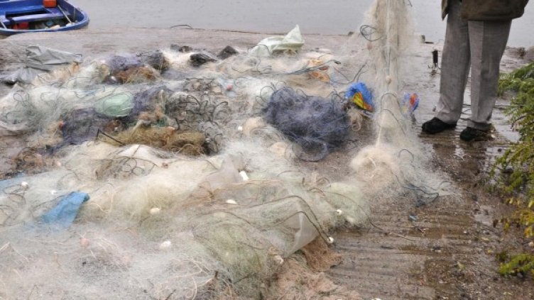 Снимка: Булфото, архив