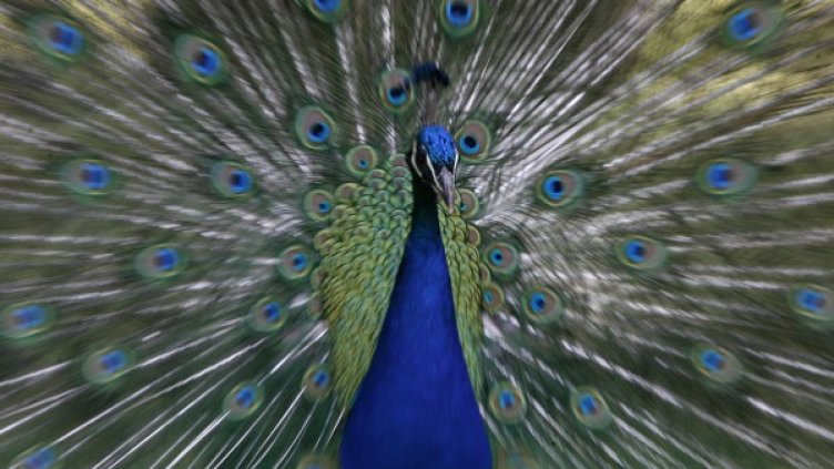 Снимка: архив Reuters