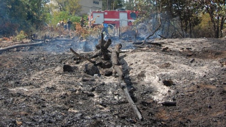 Снимка: Булфото, архив