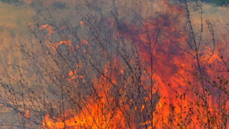 Снимка: Архив, БТА