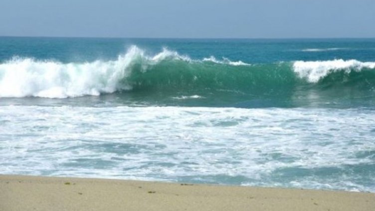 Снимка: архив, Булфото