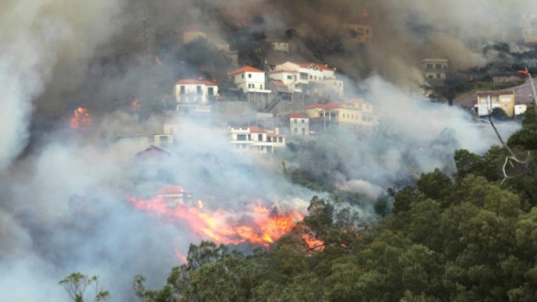 Снимка: Reuters