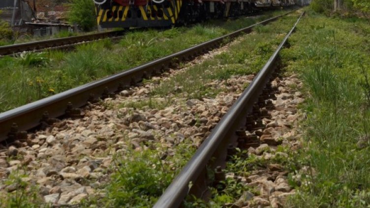 Снимка: Булфото, архив