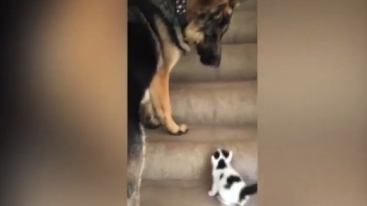 Снимка: кадър YouTube