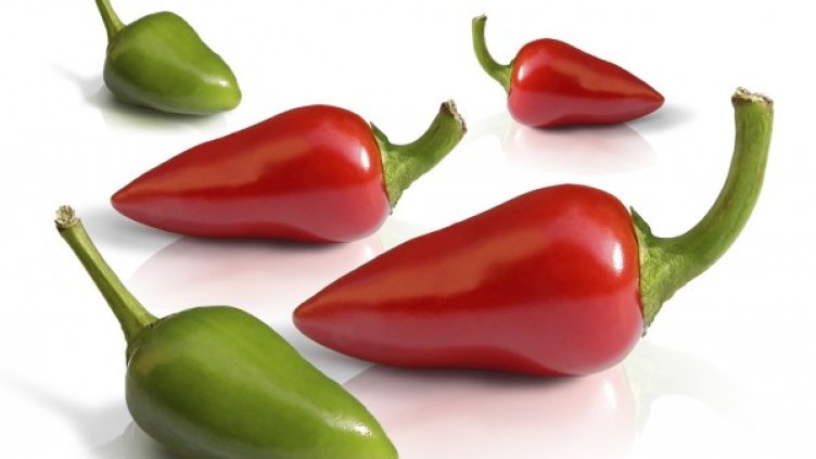 Снимка: freeimages