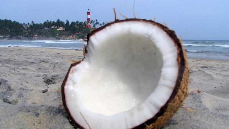 Снимка: freeimages