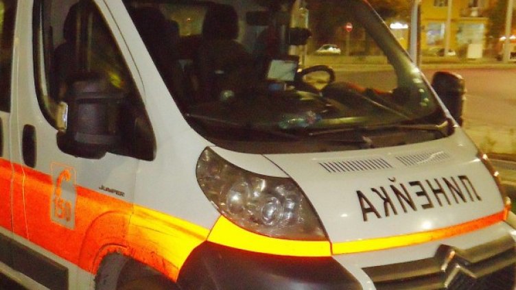 Снимка: архив Булфото