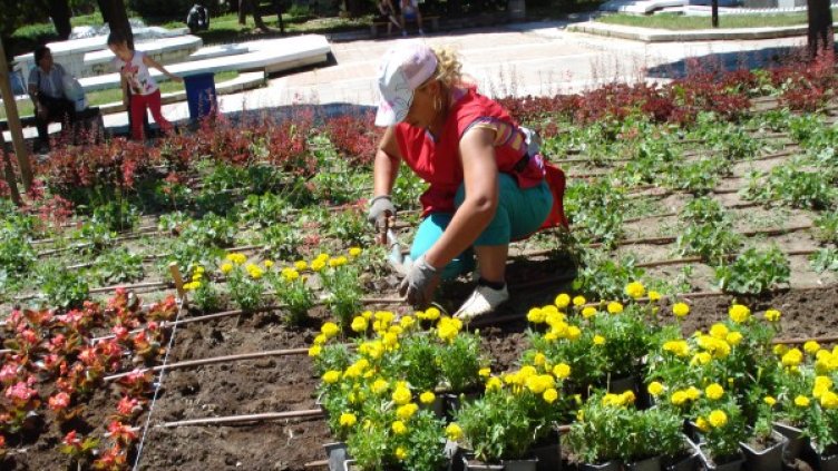 Снимка: архив, Булфото