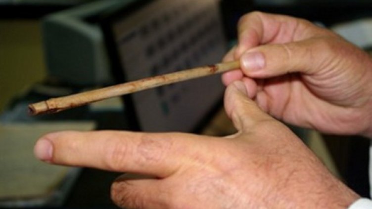 Снимка: Плевен за Плевен