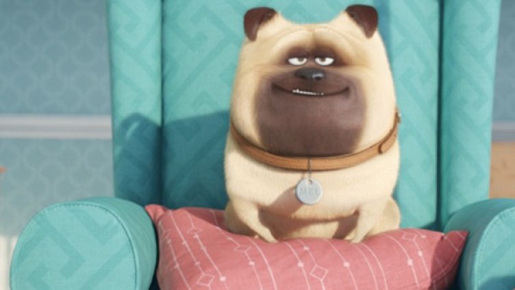 Снимка: Форум филм