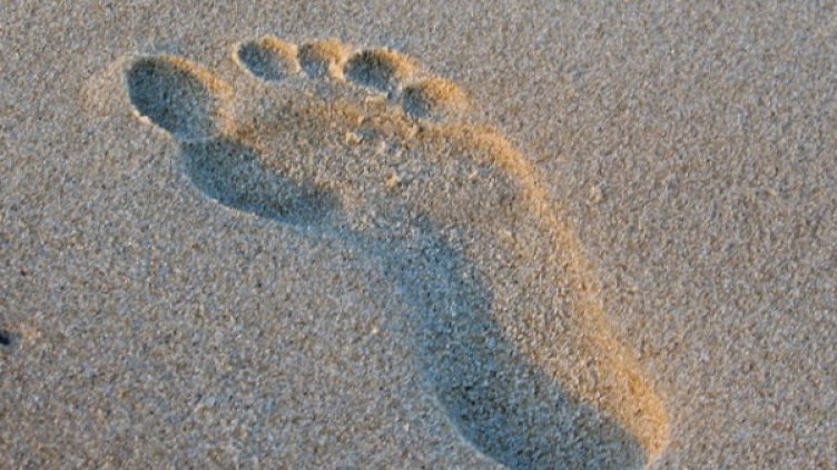 Снимка: freeimages