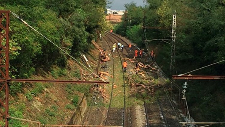 Снимка: Ройтерс