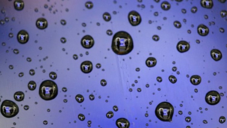 Снимка: Reuters, архив