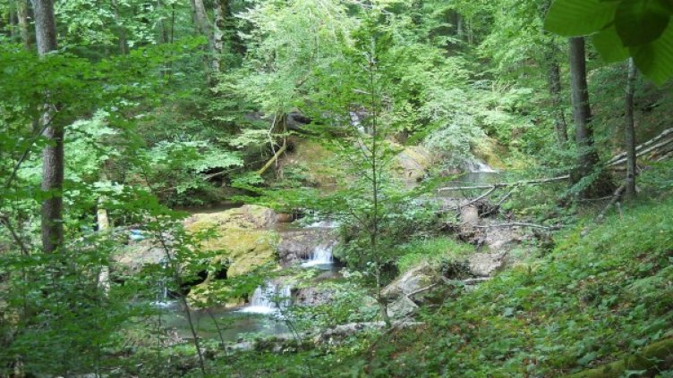 Снимка: инж. Дико Патронов