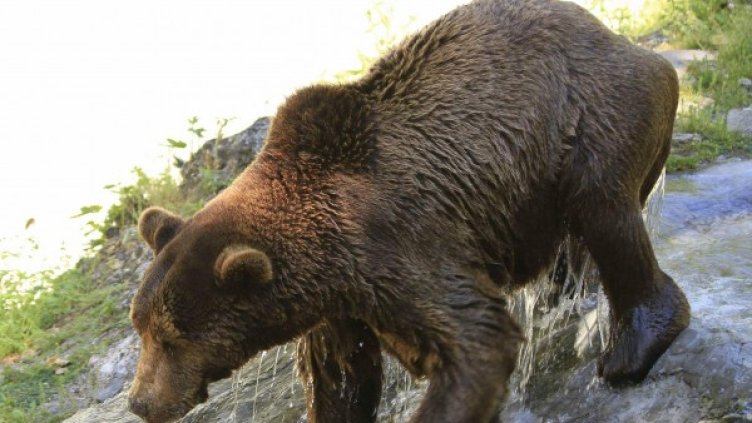 Снимка: Булфото, архив