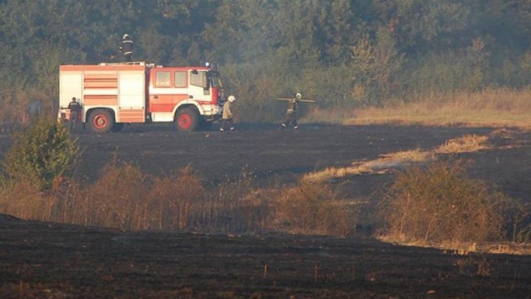 Снимка: архив "Булфото"