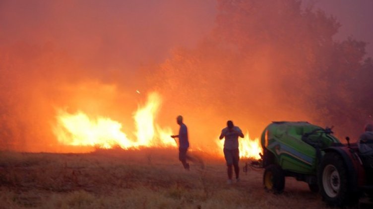 Снимка: Булфото