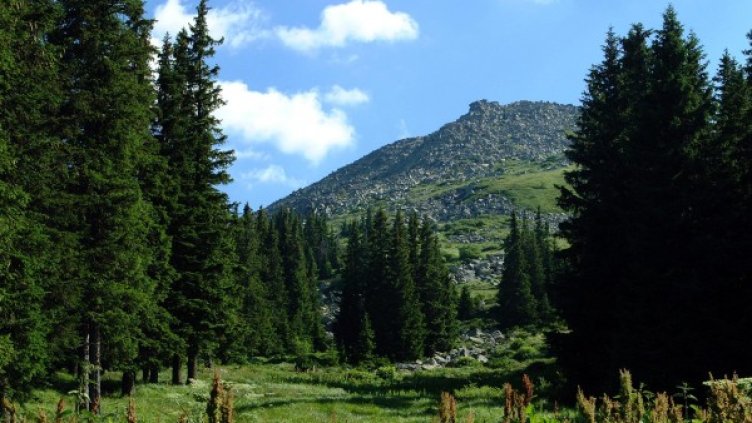 Снимка: архив "Булфото"