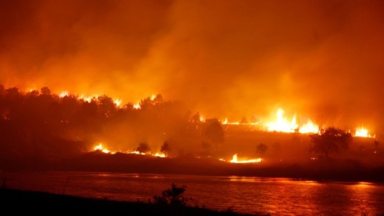 Снимка: Булфото