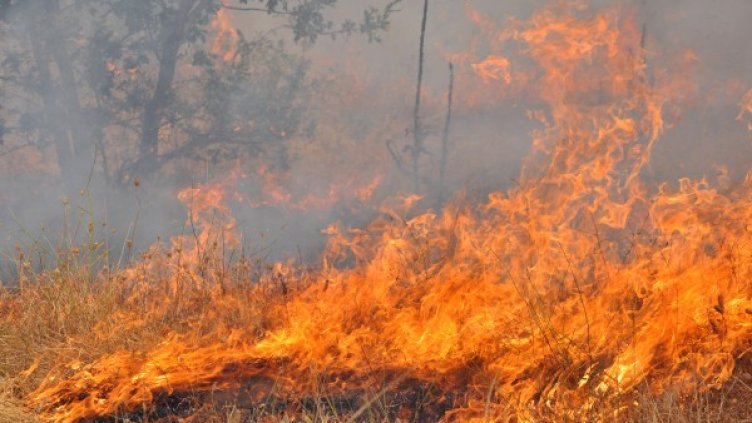 Снимка: БТА, архив