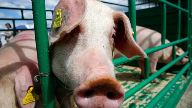 Снимка: Reuters, архив