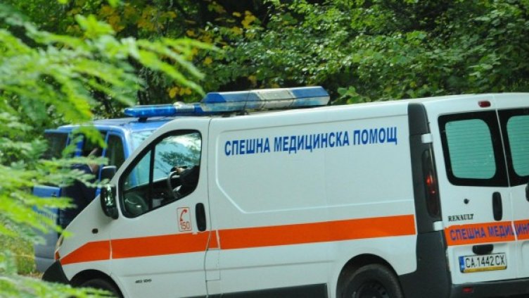 Снимка: Булфото, архив