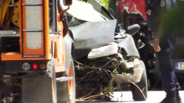 Снимка: архив Булфото