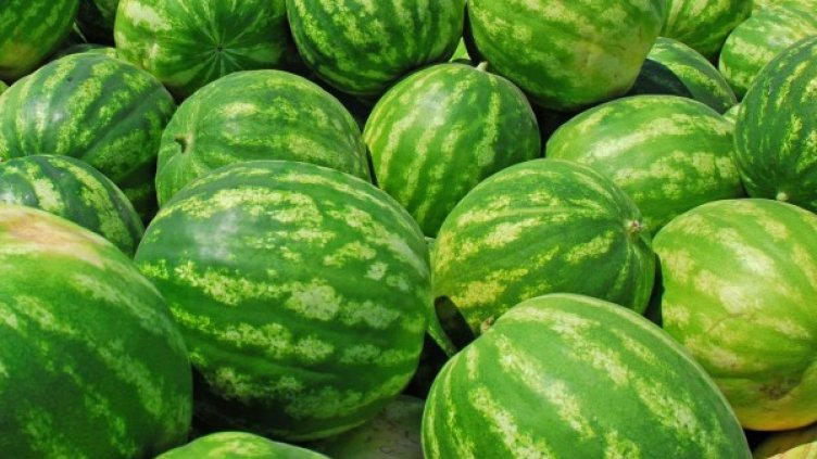 Архив: Булфото