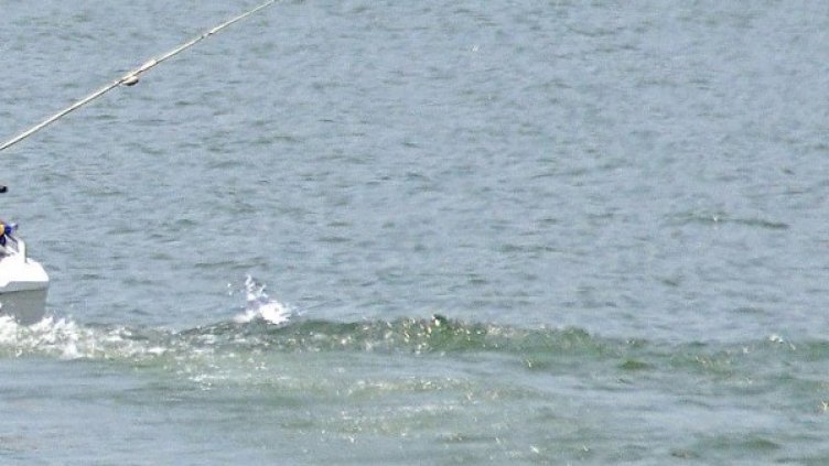 Снимка: архив, БулФото