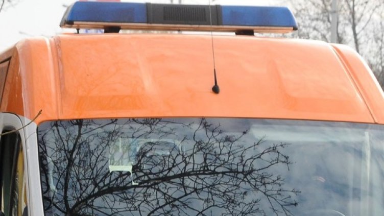 Снимка: архив "Булфото"