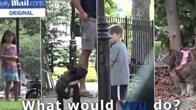 Снимка: Кадър YouTube