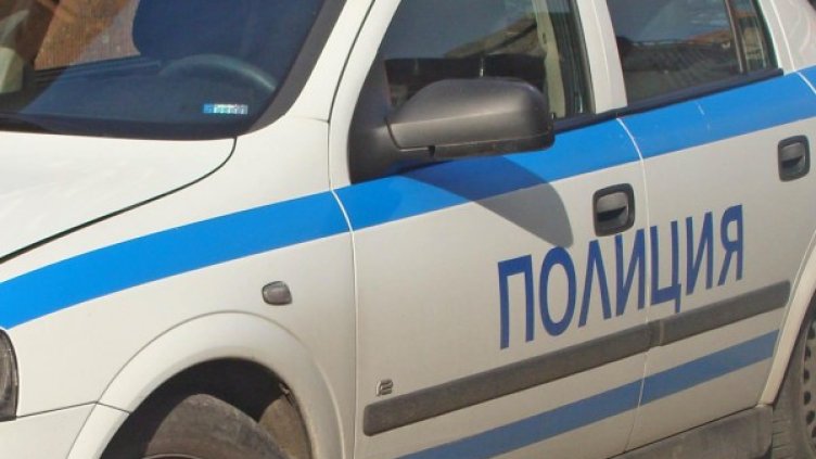 Снимка: Архив, Булфото