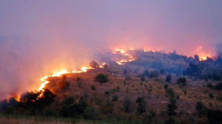 Снимка: архив, Булфото
