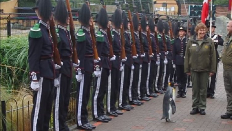 Снимка: Youtube