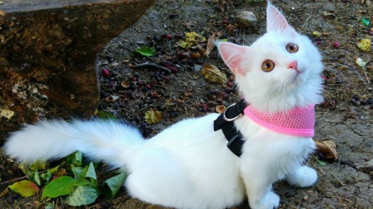 Снимка: Личен архив