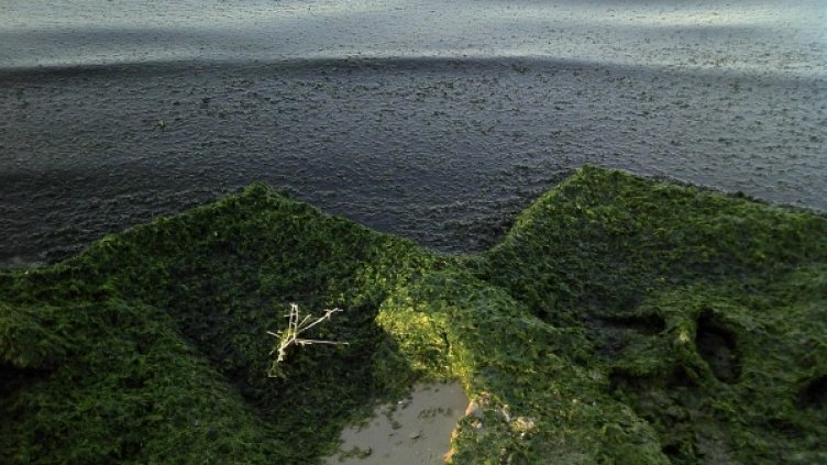 Снимка: архив, Булфото