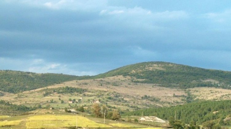 Крие ли съкровище вековен бор в Кърджалийско?