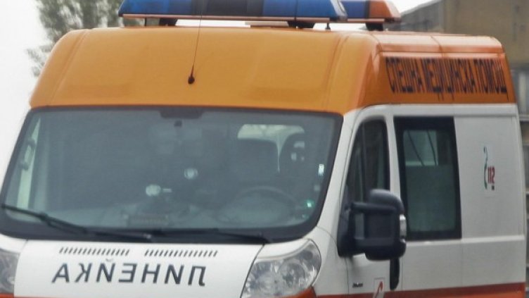 Снимка: Архив, Булфото