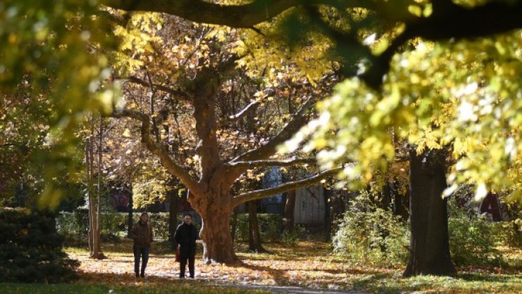 Снимка: архив, БулФото