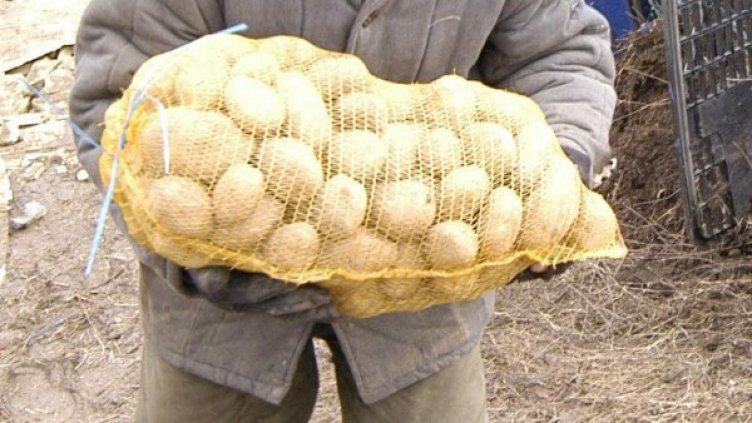 Снимка: архив, БулФото