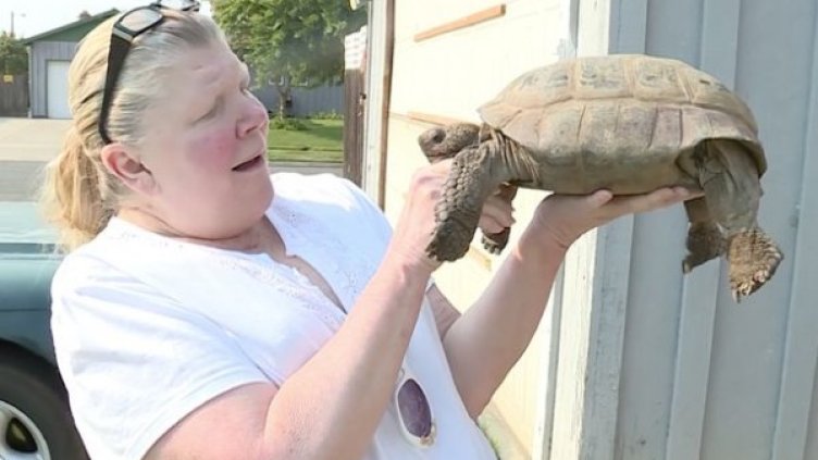 Снимка: Facebook