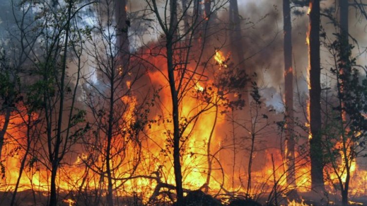 Снимка: БТА, архив