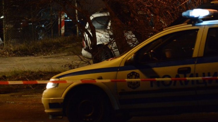 Снимка: архив Булфото