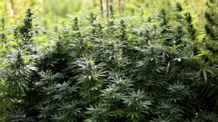 Снимка: Reuters, архив