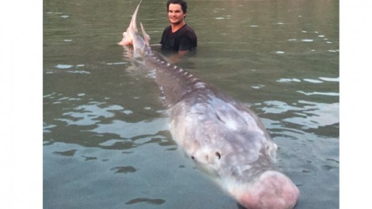 Снимка: Facebook