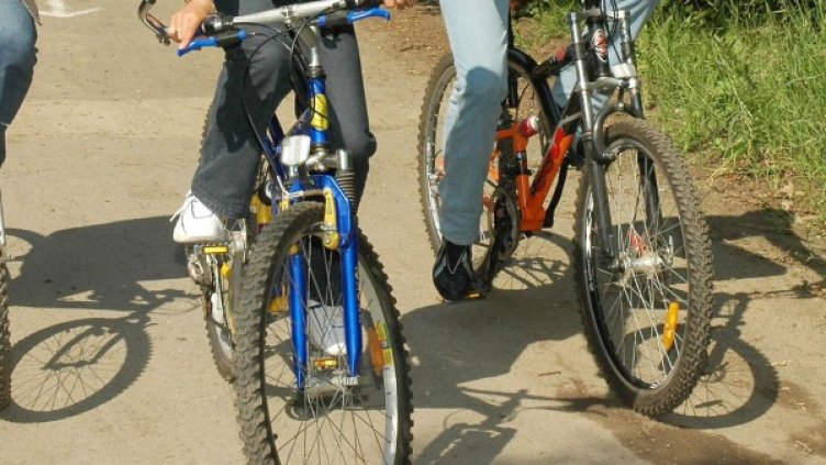 Архив: БУлфото